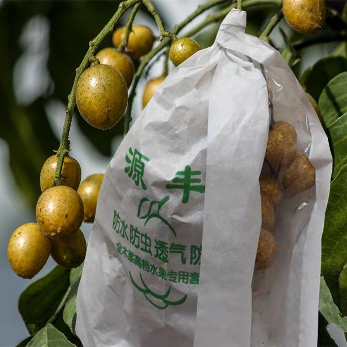 黄皮果套袋龙眼荔枝桂圆防虫防鸟袋释迦果桃子柚子石榴水果保护袋