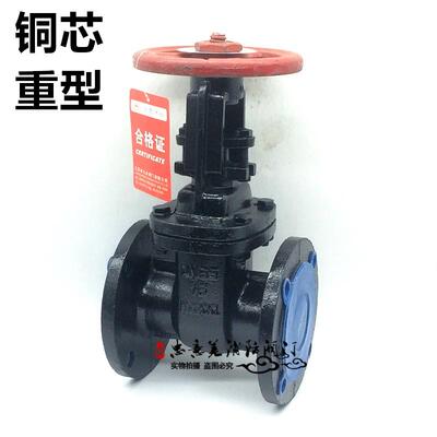 铸铁明杆闸阀Z44T-16地下防护闸阀Z41T自来水铜芯明杆闸阀80DN100