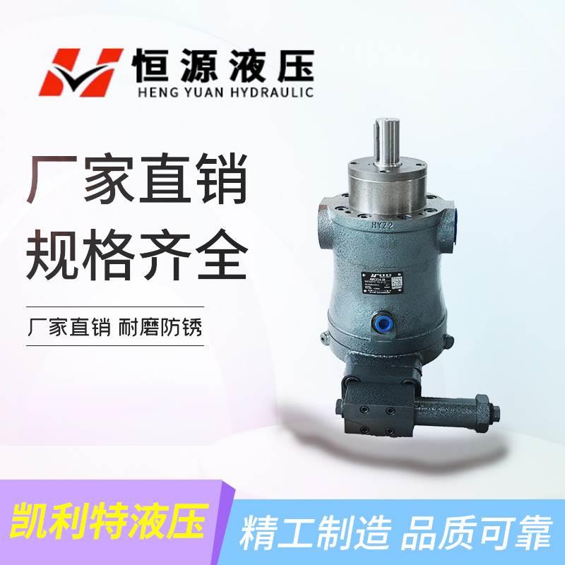 江苏恒源液压恒压变量轴向柱塞泵10/16/25/40/63/80/250PCY14-1B