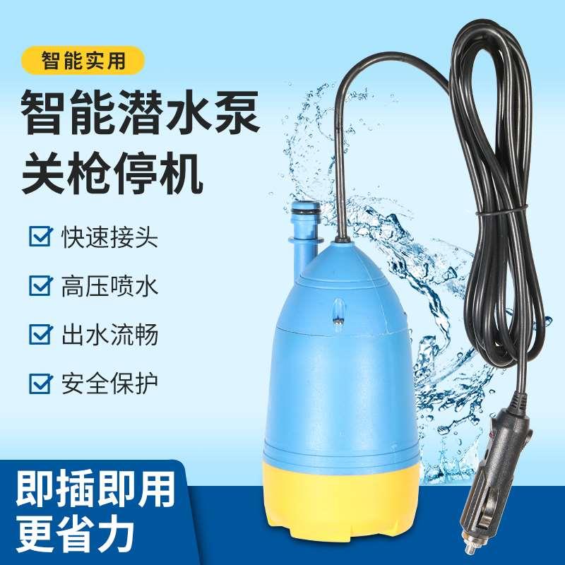 12V车载洗车机 220V打水钻水锯用便携式洗车器冲肥泵机洗车水泵抢