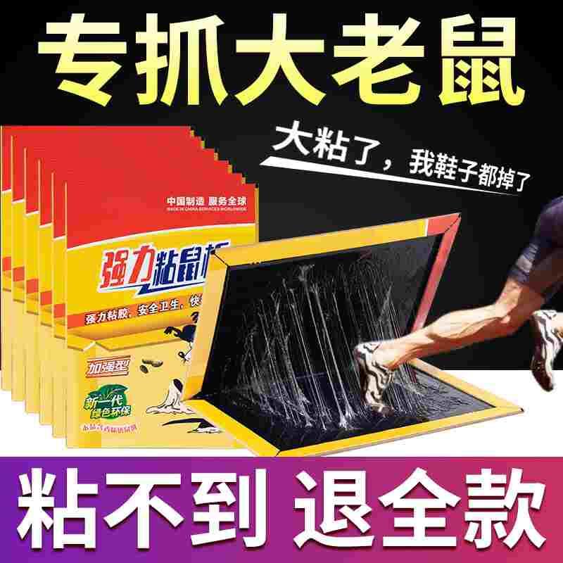 老鼠贴强力粘鼠板捉粘大老鼠贴沾胶抓家用捕鼠神器超强灭鼠老鼠夹