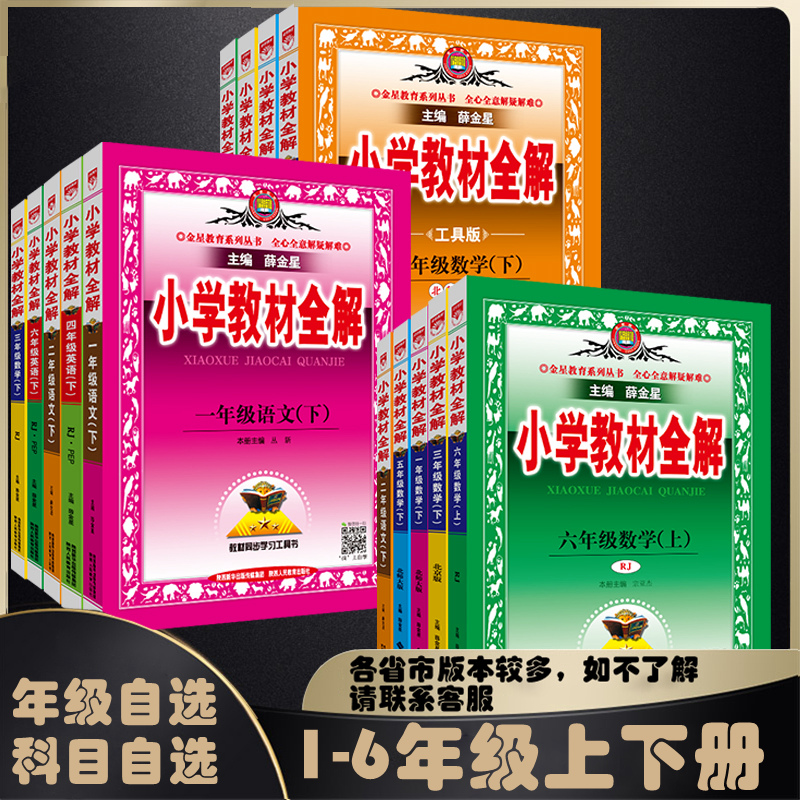 2024薛金星小学教材全解