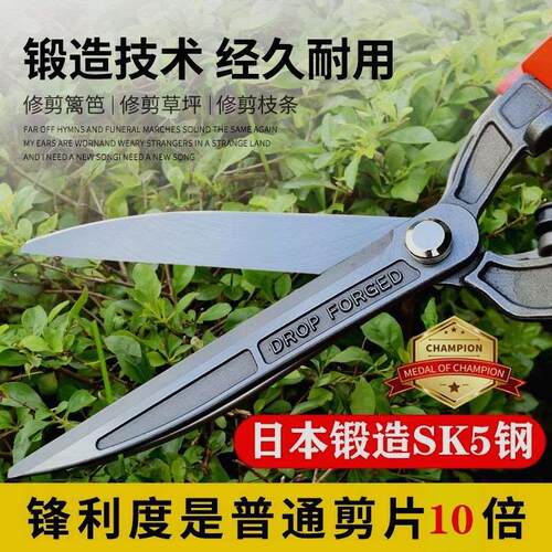 德国进口园林绿化修枝剪园艺剪刀绿篱剪花枝茶树大号剪子树枝剪篱