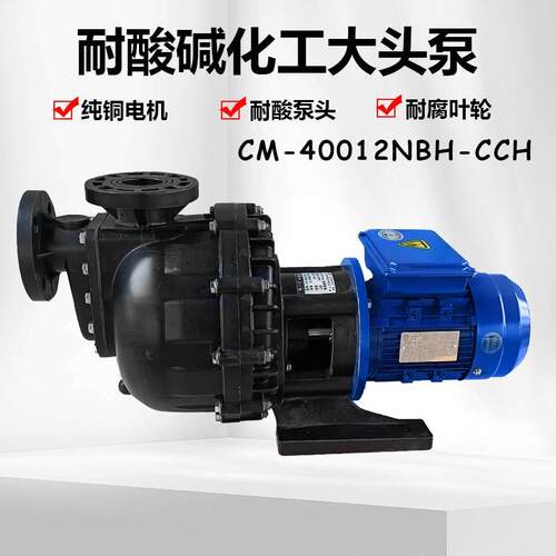 胜川宝单项220V马肚泵化工泵电镀泵水泵大头泵自吸泵耐酸碱提升泵