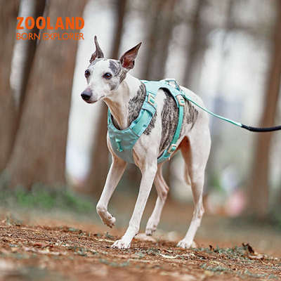 ZOOLAND狗狗胸背牵引绳遛幼小中大型犬泰迪柯基比熊边牧博美链子