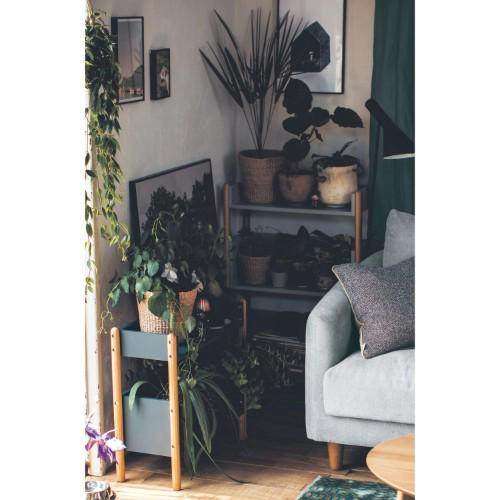 日式ins置物架储物架隔板花架玄关客厅落地收纳架书架实木多层,住宅家具,搁板/置物架/家用陈列架,淘宝优惠券,粉丝福利购,淘宝优惠卷