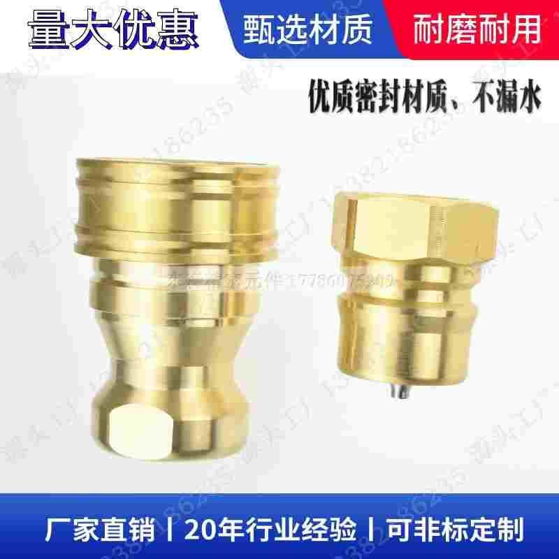 兼容 12S 12P 10S 10P-A丨8S-A液压快速接头铜水嘴DN40 DN32 DN25