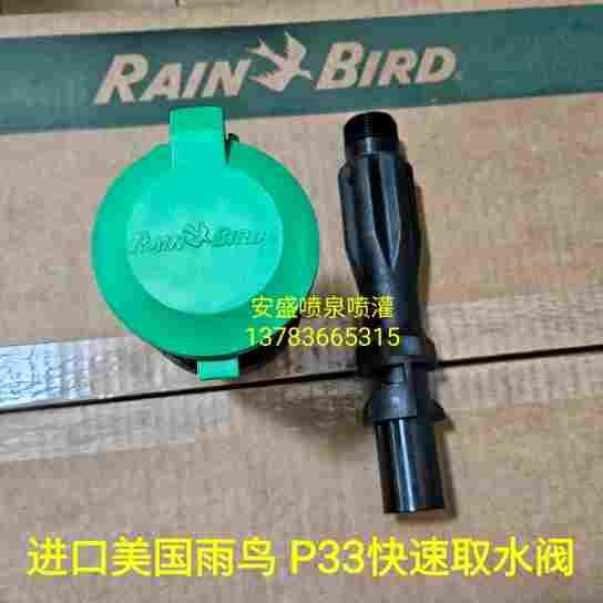 美国雨鸟P-33快速取水阀 6分取水栓 3/4方便体 6分外丝快插