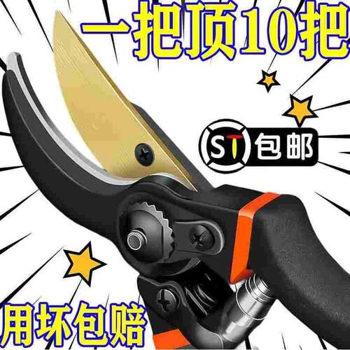 德国进口钢SK5修枝剪省力家用果树园林粗枝剪嫁接花艺园艺剪工具