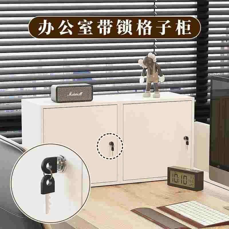 食品添加剂专用柜带锁办公室收纳柜杂物储物柜可上锁落地自由组合图片