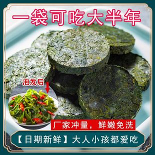压缩海带苗嫩干货独立包装福建霞浦小海带新鲜烘干凉拌火锅特级嫩