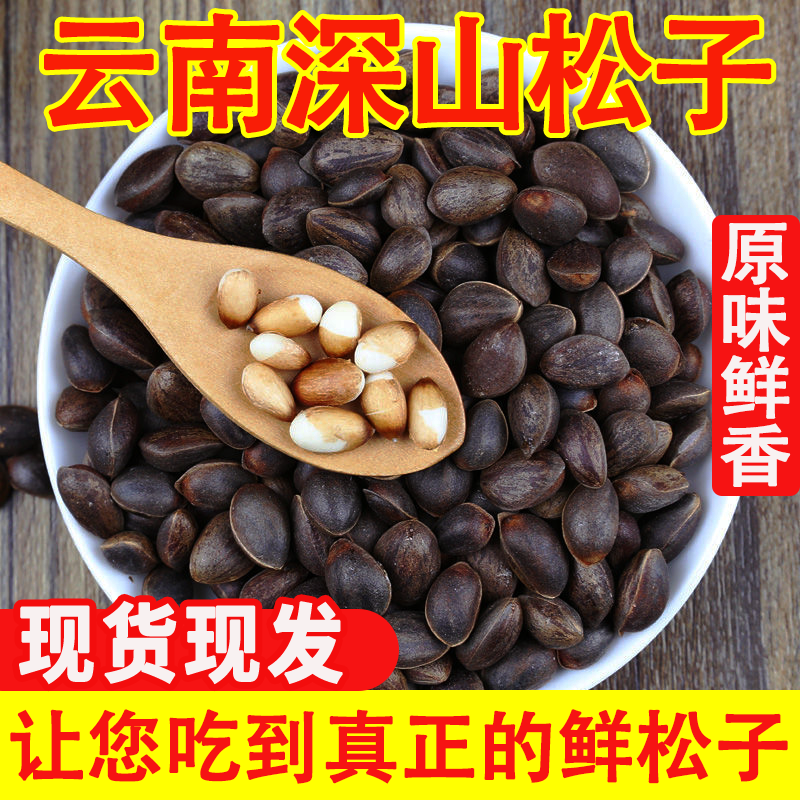 云南落水松新鲜生松子大颗粒原味野采2026零食坚果黑松子送夹子