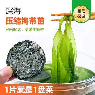 特级压缩海带丝海带苗海带头烘干圆饼免煮洗火锅食材凉拌批发霞浦