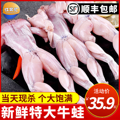 牛蛙鲜活新鲜特大田鸡青蛙肉半成品牛蛙腿蛙肉冷冻串商用批发顺丰