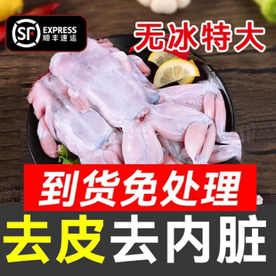 牛蛙鲜活新鲜特大田鸡青蛙肉半成品牛蛙腿蛙肉冷冻串商用批发顺丰