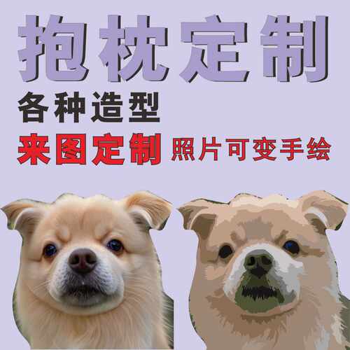 毛绒diy来图定做照片定制抱枕