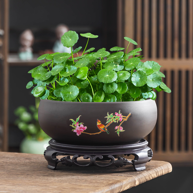 铜钱草水培花盆家用大号紫砂办公室水养金钱草无孔Z带托盘摆件