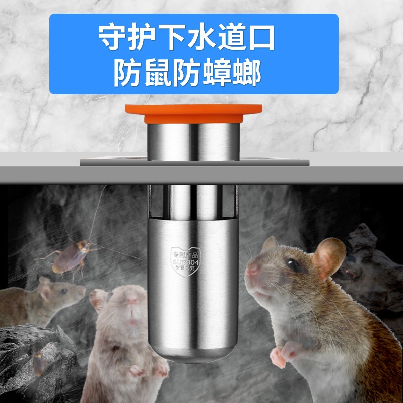 防臭地漏芯卫生i间下水道管硅胶防臭内芯通用密封圈厕所防反味神