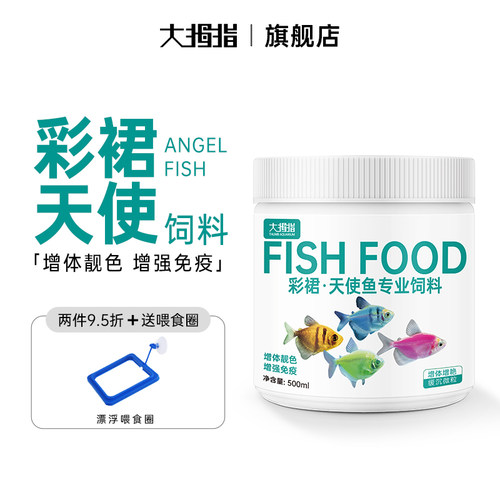 大拇指天使鱼专用彩裙鱼营养健康