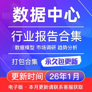 2025年全球及中国IDC数据中心行业研究分析报告合集