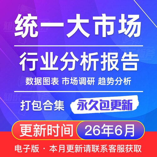 2026年 统一大市场 市场行业分析报告合集