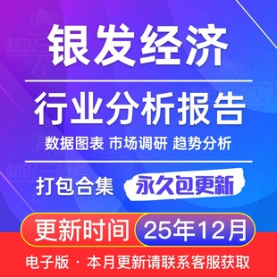 老年人 养老经济 市场行业趋势洞察分析报告合集 银发经济 2025年