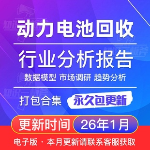 2025年新能源汽车动力电池环保回收行业市场调查 研究分析报告合