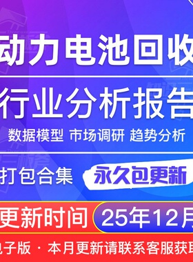 2025年新能源汽车动力电池环保回收行业市场调查 研究分析报告合