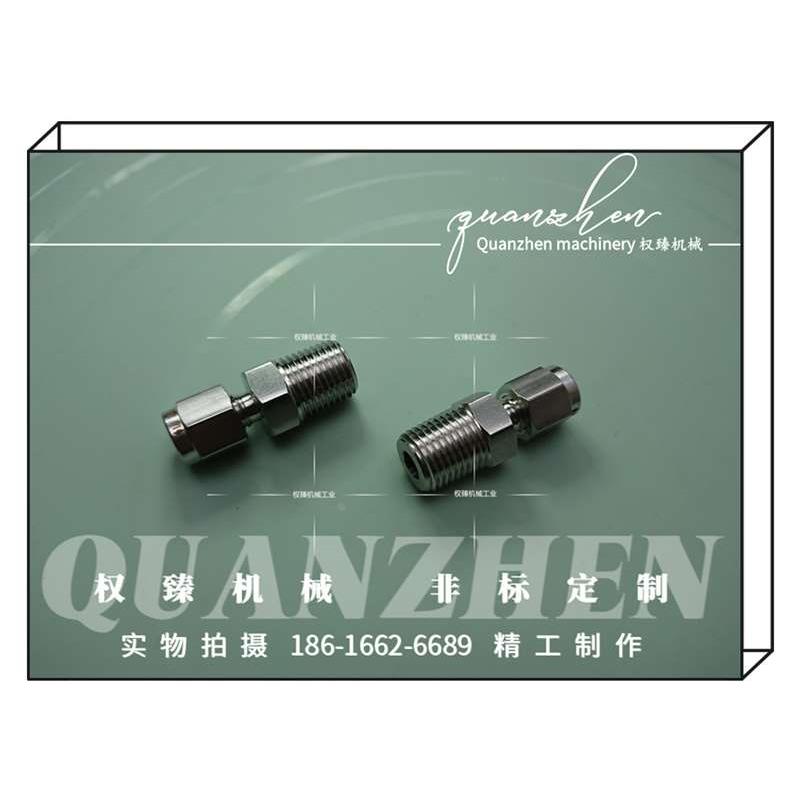 不锈钢316L外螺纹双卡套式直通终端管接头 2分 PT R ZG1/4-1/8OD