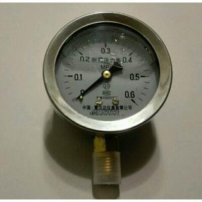 雷尔达 不锈钢外壳耐震压力表  YN-60 YN60 yn60i ytn-63 62mm