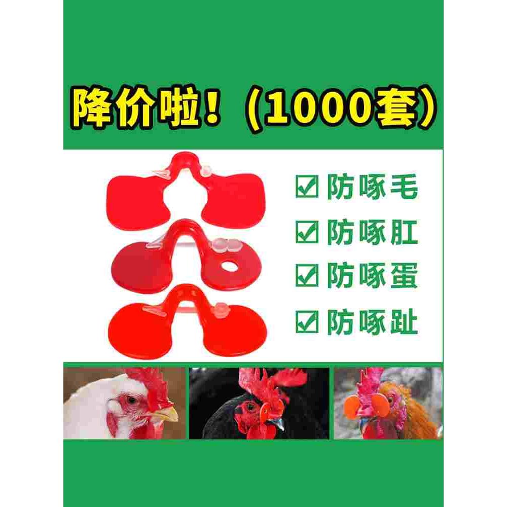 公鸡眼镜小鸡土鸡防啄打架通用鸡带的眼镜鸡眼罩鸡用眼镜养鸡用品