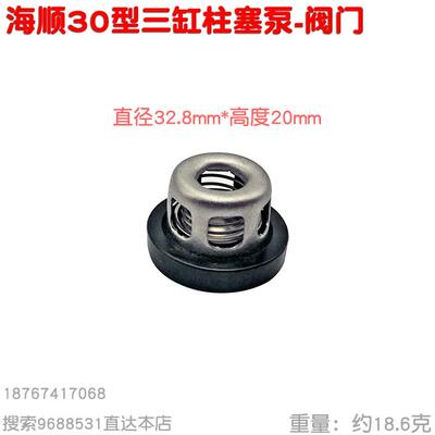 不锈铁活门止回阀门 台湾海顺HS30 36 J32 45A型三缸柱塞泵32.5mm