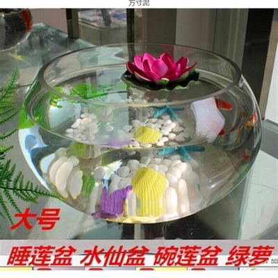 玻璃花瓶透明大号水仙盆碗莲盆睡莲花盆乌龟鱼缸植物器皿