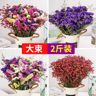 干花花束真花装 饰摆件客厅摆设鲜云南风干天然风鲜插满天星勿忘我