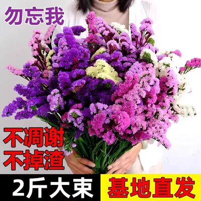 勿忘我鲜花风干真花干花花束混搭满天星批发客厅摆件装饰手工插花