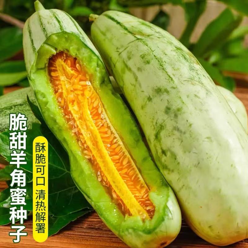 羊角蜜种籽酥甜瓜苗孑秧正品高产夏四季脆香瓜春季田园瓜果子