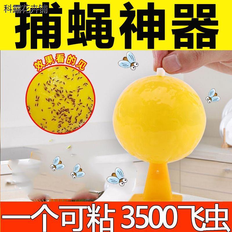 粘蝇球飞虫克星果蝇苍蝇