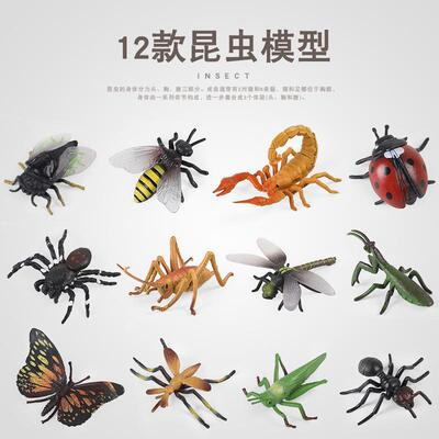 跨境科教仿真实心昆虫动物模型蜜蜂蜘蛛蝴蝶七星瓢虫儿童玩具套装
