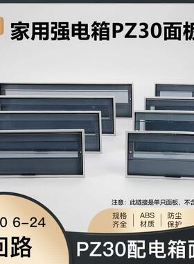 加厚灰色PZ30配电箱盖板塑料面板8/10/12/15/18/20/24回路防护盖
