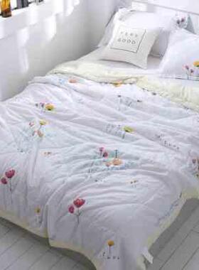 幼儿简约太空棉绵绸单件家庭18×2两成人蓝丝羽酒店棉花夏凉被绣