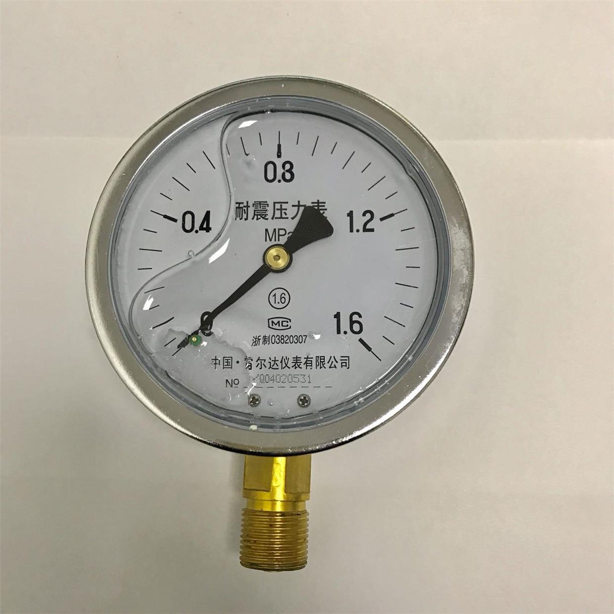 雷尔达仪表 耐震压力表 YN-100 1.6mpa m20x1.5 直径100mm 1.6级