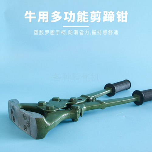 。牛羊用多功能修蹄钳剪蹄钳修蹄剪子拔钉羊骡马驴养殖修蹄工具包
