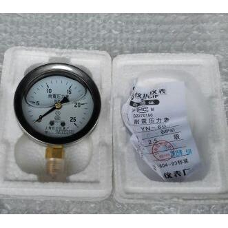 上海仪川耐震压力表 表面直径69mm 背后外壳直径62mm 压力0-25mpa
