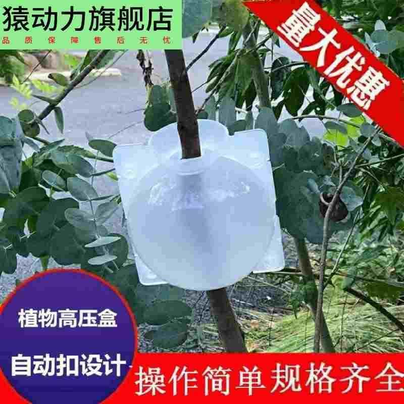 月季高压繁殖盒营养杯树枝加厚型高压包空在上装土生根花苗扦插接,3C数码配件,USB多功能数码宝,淘宝优惠券,粉丝福利购,淘宝优惠卷