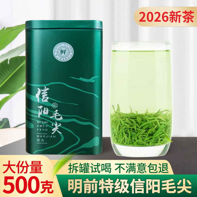 2026新茶信阳毛尖明前特级嫩芽图片