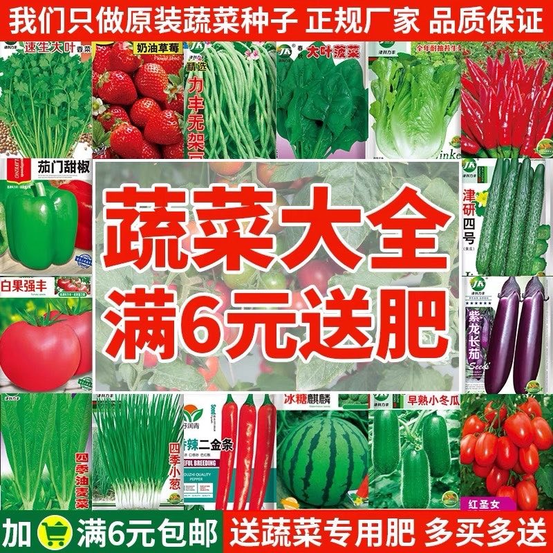蔬菜种子套餐一菜种籽原装四季播原装彩包育种香菜小葱白菜菠菜