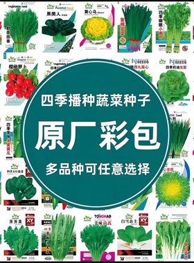 四季菜种子籽蔬菜种子粉丝特惠原装春秋豆角辣椒玉米种子阳台菜园
