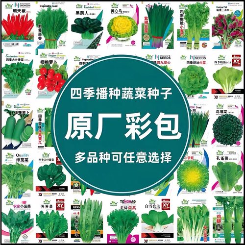 蔬菜种子四季种植单包送肥