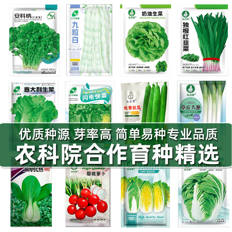 精选农科院合作育种蔬菜种子菜籽种种葱香菜生菜茄子四季园艺阳台