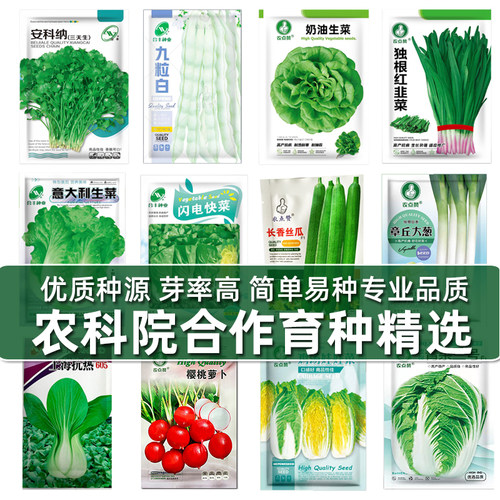 合丰优质发芽率高蔬菜种子园艺